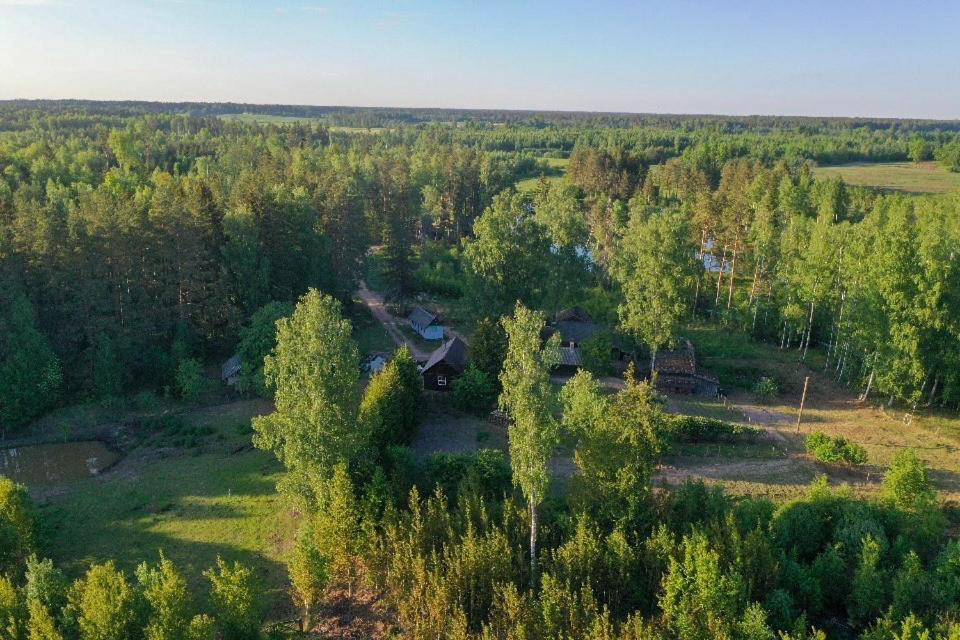 Private Farm Jakuzzi Sauna In The Forest تالسي المظهر الخارجي الصورة